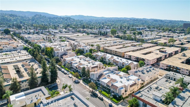Drone View