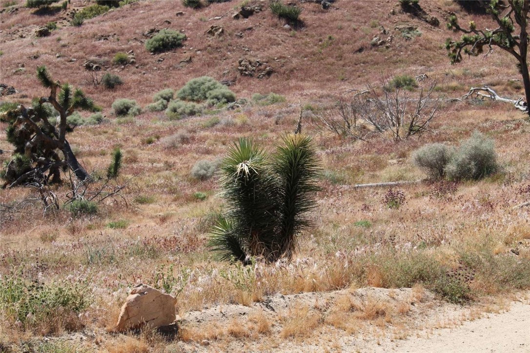 Detail Gallery Image 18 of 24 For 15 Eagles Nest, Yucca Valley,  CA 92284 - – Beds | – Baths