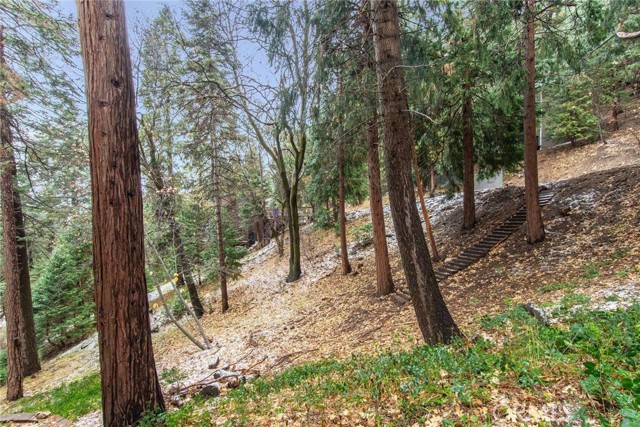 513 W Victoria Court, Lake Arrowhead CA: https://media.crmls.org/medias/db52da1c-4b3b-4aa6-9513-62fe4d8339d0.jpg