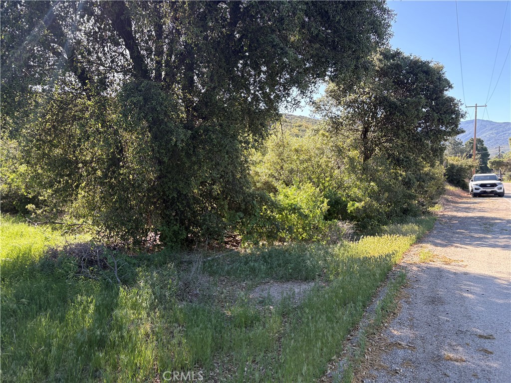 MLS #SW25110189 image #3