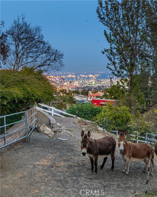 View from pasture