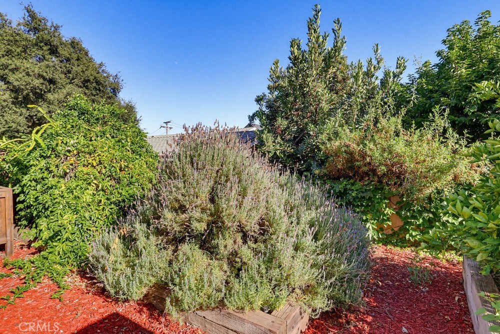https://media.crmls.org/medias/db60103d-9cda-4737-b770-aed20312bd9d.jpg?preset=X-Large