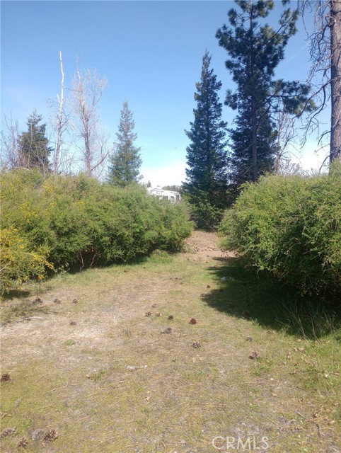 Detail Gallery Image 6 of 27 For 3515 Hoffman, Oroville,  CA 95965 - – Beds | – Baths