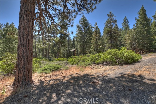 Detail Gallery Image 15 of 19 For 38602 Talbot, Big Bear Lake,  CA 92315 - – Beds | – Baths