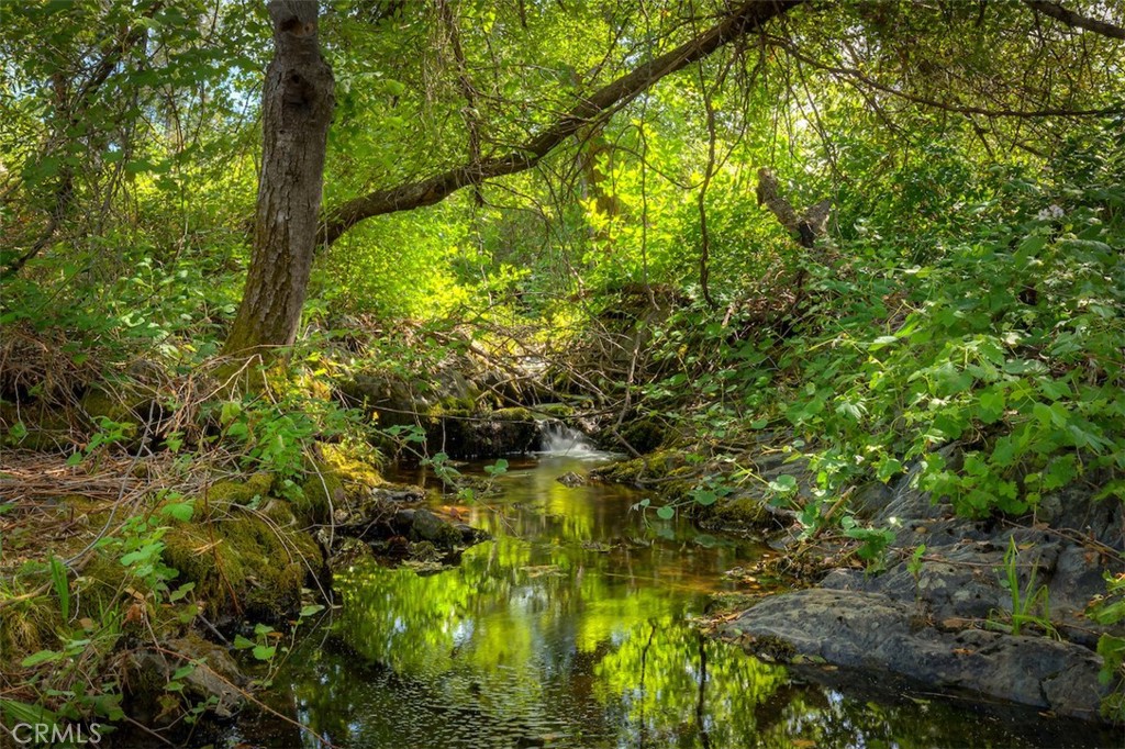 https://media.crmls.org/medias/db7755b7-55b2-4128-984c-0c1419c13e0d.jpg?preset=X-Large