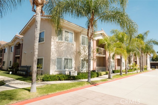 Front Image Thumbnail for CROC25244112