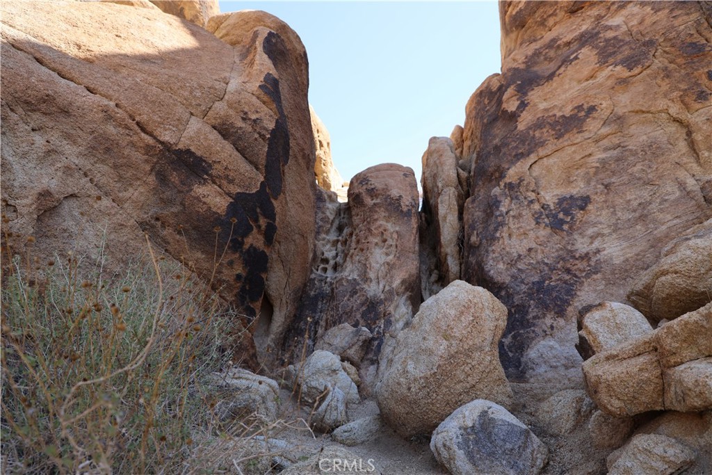 MLS #JT25234703 image #8