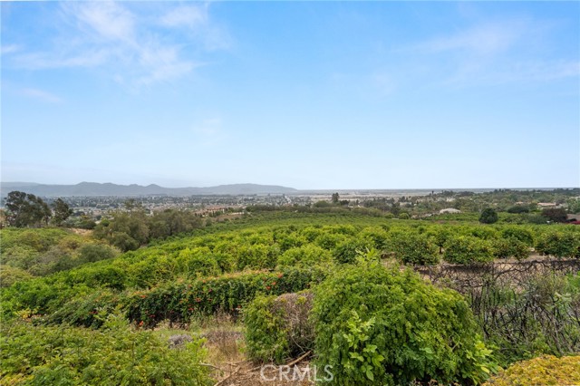 25 Encino Avenue, Camarillo CA: https://media.crmls.org/medias/db83b7f6-db99-4f39-a417-5158d9401e3b.jpg
