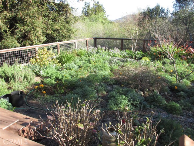 Detail Gallery Image 9 of 9 For 1564 Nipomo, Los Osos,  CA 93402 - 3 Beds | 2 Baths