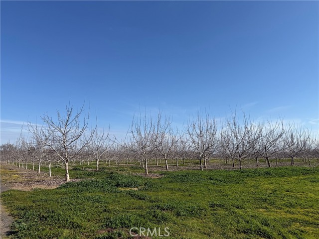 Detail Gallery Image 5 of 18 For 0 Mcfadden Ln, Chico,  CA 95928 - – Beds | – Baths