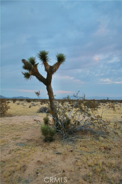 Detail Gallery Image 24 of 24 For 0 Venus St, Joshua Tree,  CA 92252 - – Beds | – Baths