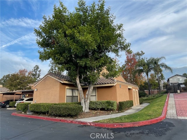 Detail Gallery Image 1 of 23 For 10655 Lemon Ave #204,  Rancho Cucamonga,  CA 91737 - 3 Beds | 2 Baths