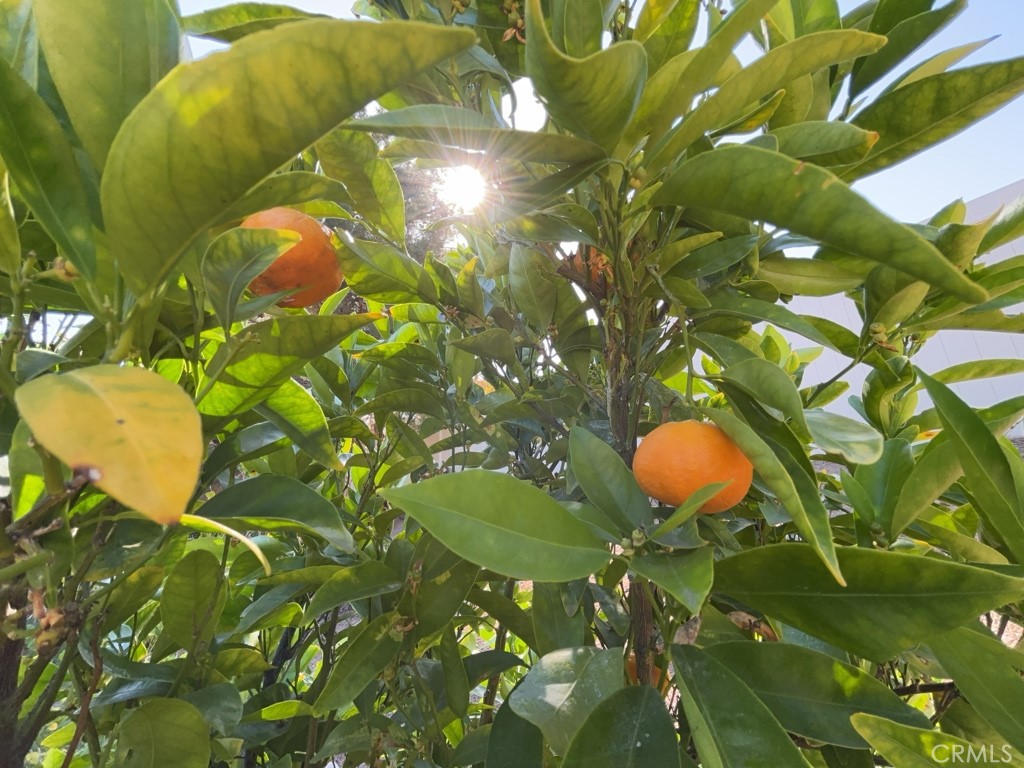 https://media.crmls.org/medias/db9f27ee-0c16-4a73-9bdc-1a128e1f5109.jpg?preset=X-Large