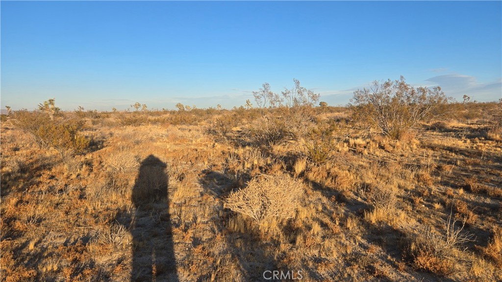 MLS #SR25151837 image #1