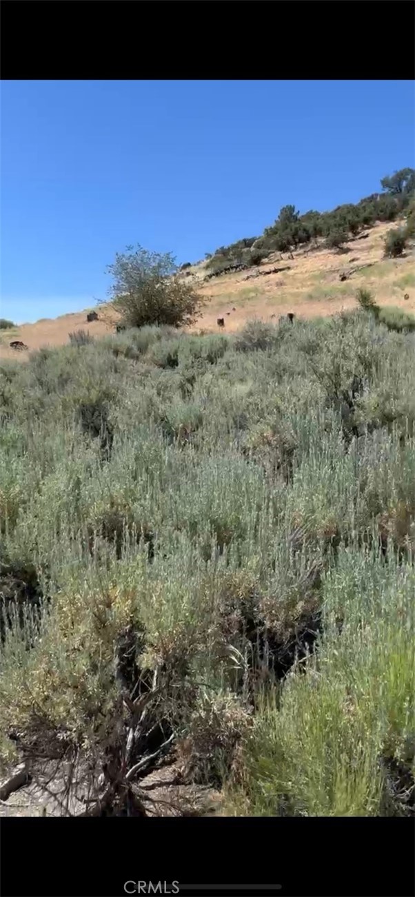 Detail Gallery Image 2 of 5 For 24151 Jacaranda Dr, Tehachapi,  CA 93561 - – Beds | – Baths