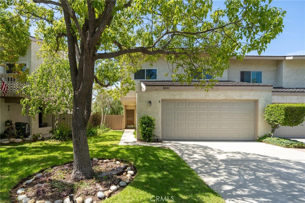 3051 Marigold