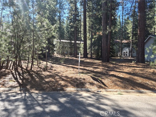 Detail Gallery Image 3 of 19 For 1662 Maiden Hair Ct, South Lake Tahoe,  CA 96150 - – Beds | – Baths