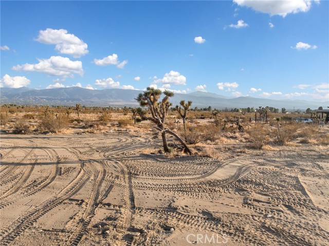 Detail Gallery Image 35 of 39 For 12526 Ponderosa Rd, Pinon Hills,  CA 92372 - 3 Beds | 2 Baths