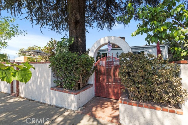 Front Image Thumbnail for CROC25264619