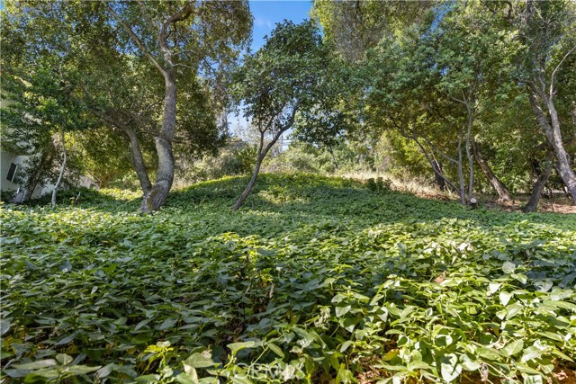 3095 S Lake Drive, Kelseyville CA: https://media.crmls.org/medias/dbbcadf9-542e-4c37-ae04-3d3ee01732a0.jpg
