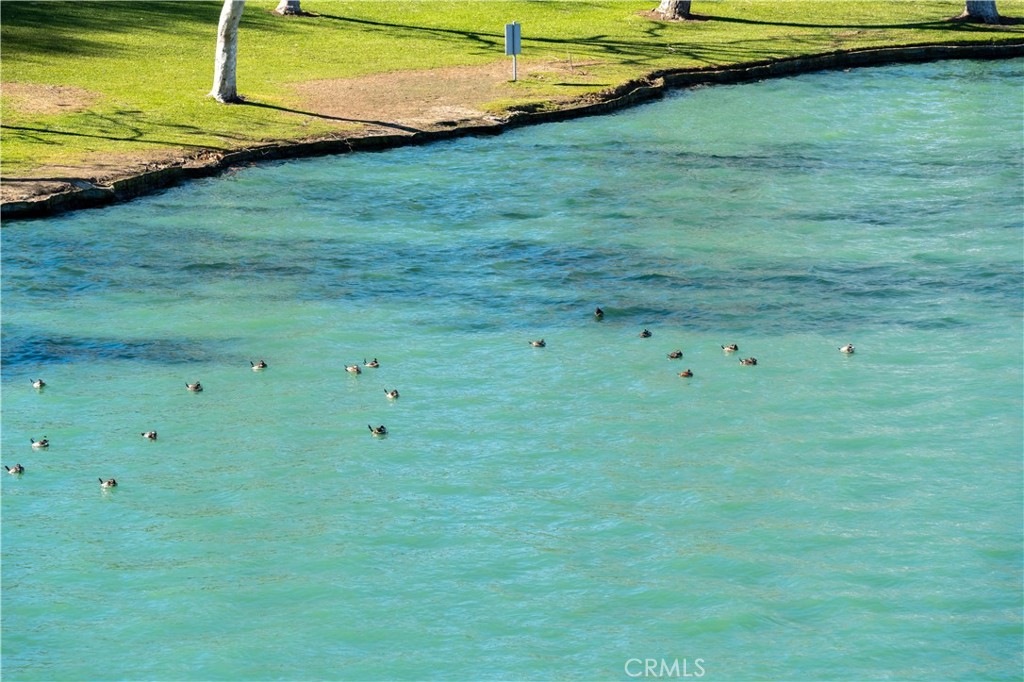 https://media.crmls.org/medias/dbbf1c94-d022-410b-9d41-837eb34bbf46.jpg?preset=X-Large