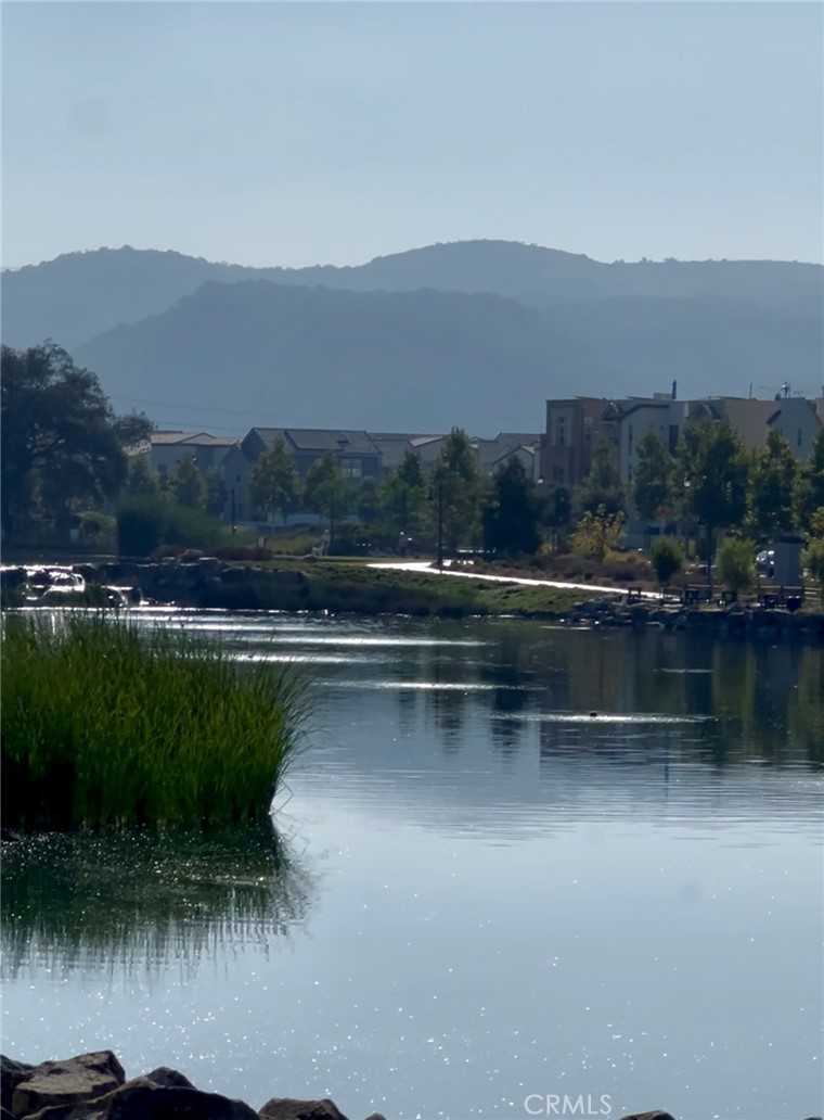 MLS #WS25276842 image #11