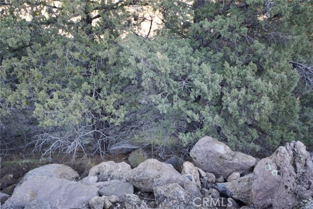 43 Dwinnell Dr, Yreka, CA, 96097 43 Dwinnell Dr, Yreka, CA, 96097