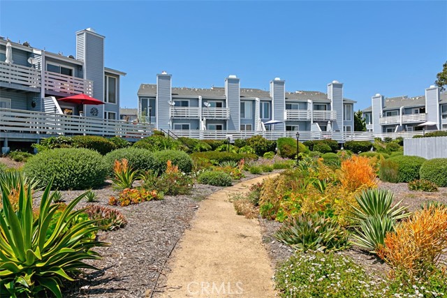 33611 Dana Vista Drive, Dana Point CA: https://media.crmls.org/medias/dbc37aa9-53ba-4b66-be5f-7d39348b221e.jpg