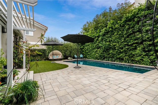 backyard pool view