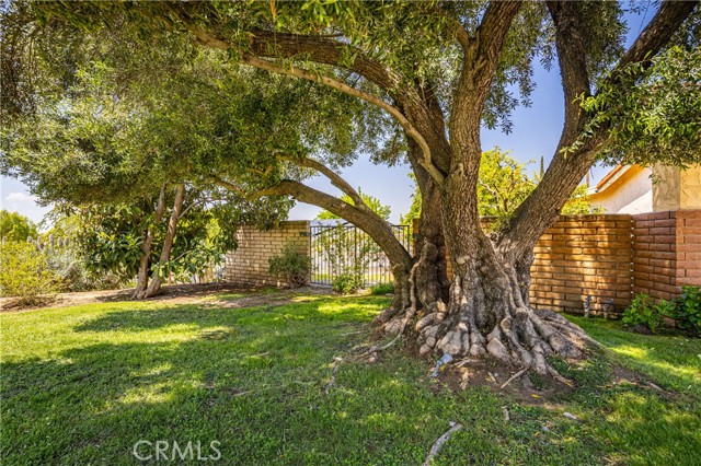 Detail Gallery Image 36 of 38 For 645 Alta Loma Dr, Redlands,  CA 92373 - 4 Beds | 2 Baths