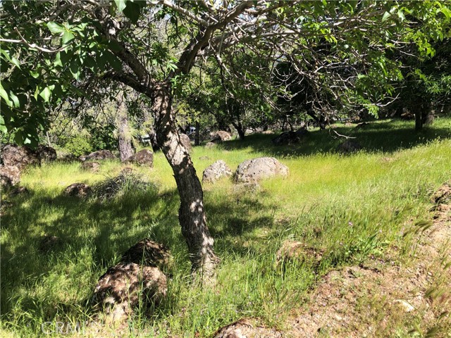 Detail Gallery Image 2 of 7 For 13616 Anderson Rd, Lower Lake,  CA 95457 - – Beds | – Baths