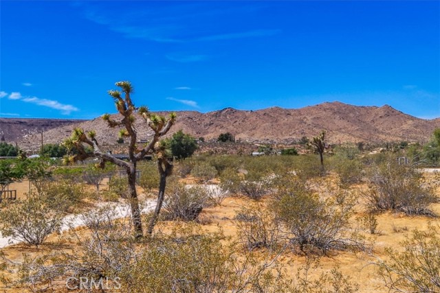 Front Image Thumbnail for CRJT26089091