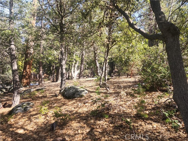 Detail Gallery Image 17 of 61 For 52547 Pine Cove Rd, Idyllwild,  CA 92549 - – Beds | – Baths