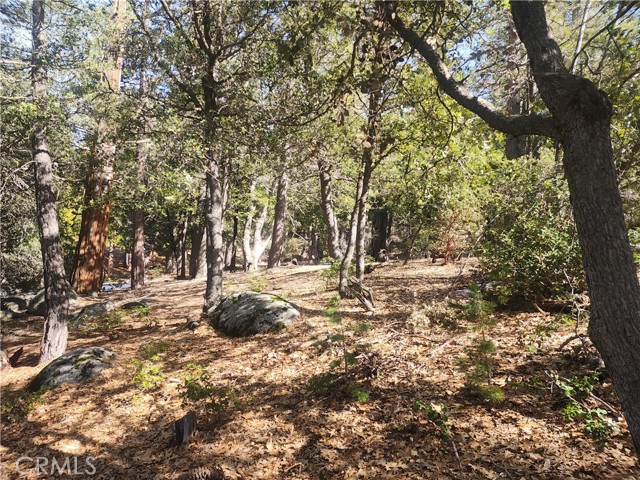 Detail Gallery Image 17 of 61 For 52547 Pine Cove Rd, Idyllwild,  CA 92549 - – Beds | – Baths