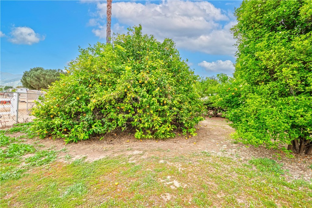 https://media.crmls.org/medias/dbd6acaf-23a4-41e1-b12d-6550ff10c49a.jpg?preset=X-Large