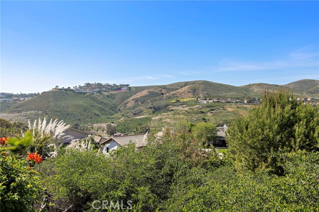 Detail Gallery Image 26 of 34 For 917 Calle Nuevo, San Clemente,  CA 92673 - 4 Beds | 2/1 Baths