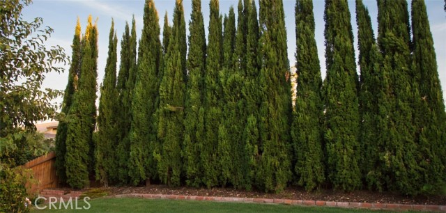 Detail Gallery Image 12 of 16 For 12755 Cardinal Ct, Victorville,  CA 92392 - 5 Beds | 2 Baths