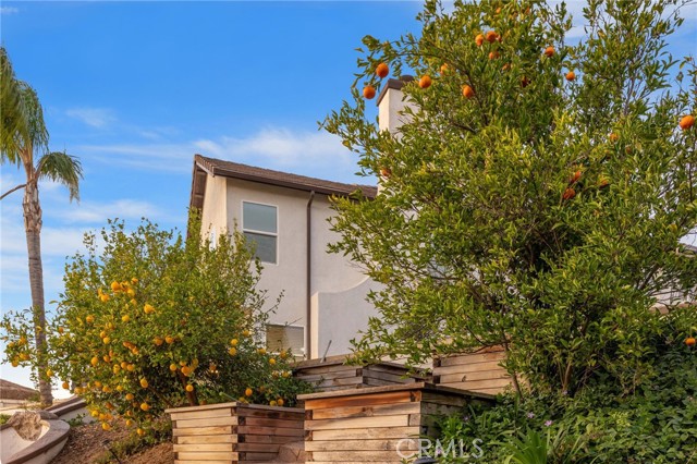 Detail Gallery Image 59 of 62 For 290 Cross Rail, Norco,  CA 92860 - 5 Beds | 4/1 Baths