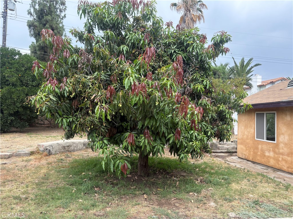 https://media.crmls.org/medias/dbe442d8-3179-4d74-99c4-d9a2c1a8c7c7.jpg?preset=X-Large