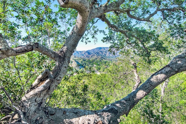 Detail Gallery Image 71 of 75 For 273 Montana Del Lago, Rancho Santa Margarita,  CA 92688 - 3 Beds | 2/1 Baths