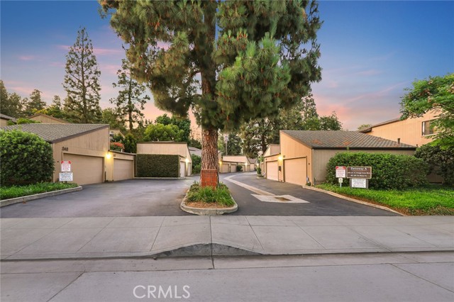 242 N Orange Grove Boulevard, Pasadena CA: https://media.crmls.org/medias/dbe7dc7b-3dd0-4cec-b865-3b078e61b5fd.jpg