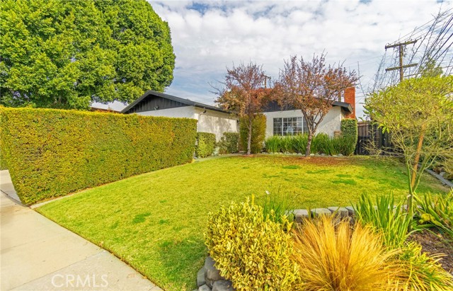 Manicured front lawn