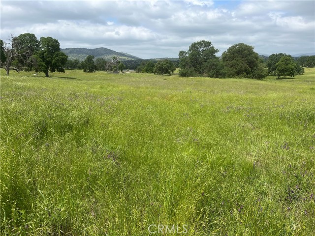 Detail Gallery Image 15 of 17 For 2463 Old Hwy, Catheys Valley,  CA 95306 - – Beds | – Baths