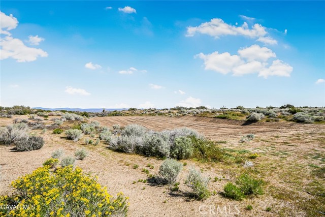 Detail Gallery Image 38 of 40 For 31720 96th Street East, Littlerock,  CA 93543 - 2 Beds | 2 Baths