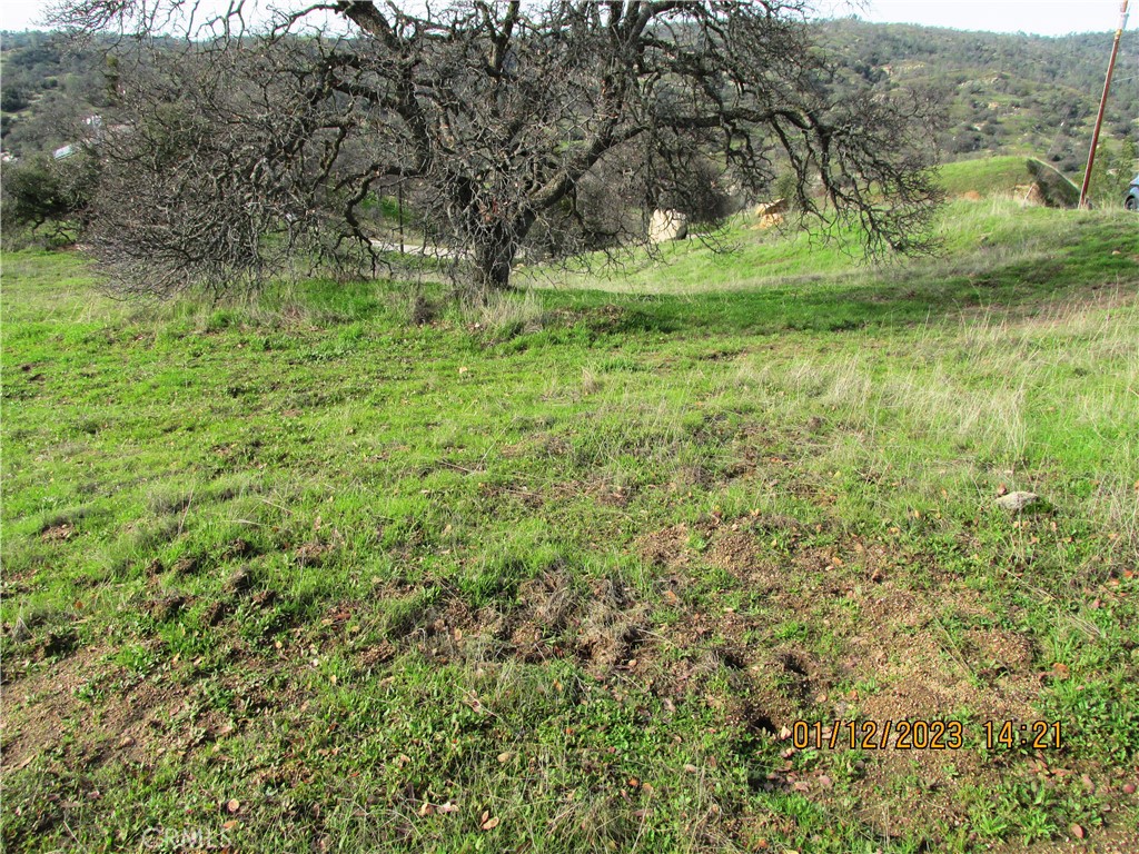 MLS #FR25100553 image #40