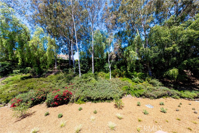 Detail Gallery Image 23 of 26 For 28107 Caldaro, Laguna Niguel,  CA 92677 - 1 Beds | 1 Baths