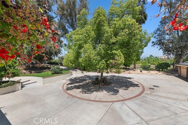 Detail Gallery Image 16 of 74 For 8180 Victoria Ave, Riverside,  CA 92504 - 4 Beds | 1/2 Baths