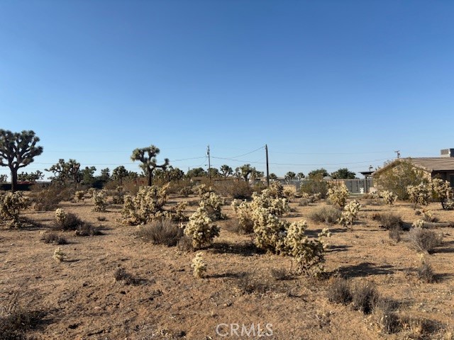 MLS #JT25181795 image #4