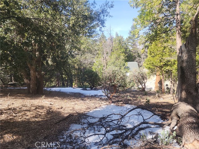 Detail Gallery Image 20 of 61 For 52547 Pine Cove Rd, Idyllwild,  CA 92549 - – Beds | – Baths