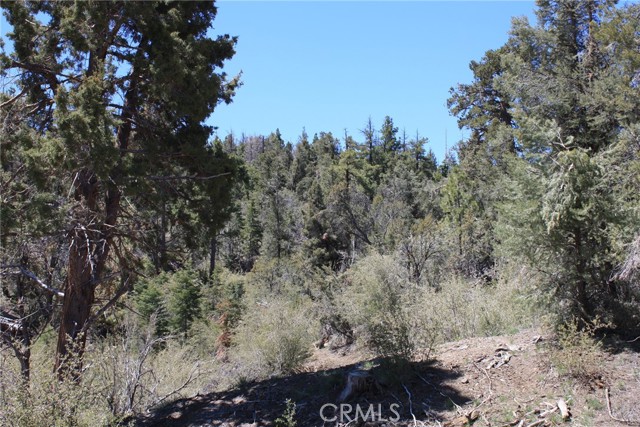 Detail Gallery Image 13 of 55 For 615 Kean Way, Big Bear City,  CA 92314 - – Beds | – Baths